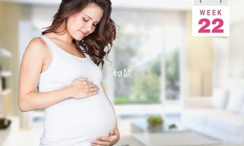 【以岭连花清瘟胶囊说明书】连花清瘟胶囊以岭和连花有区别吗 - 以岭莲花清瘟胶囊说明书网