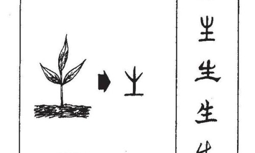 连花清瘟以岭和莲花有什么区别-【以岭连花清瘟胶囊说明书】连花清瘟胶囊以岭和连花有区别吗 - 以岭莲花清瘟胶囊说明书网